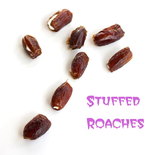 stuffed roaches